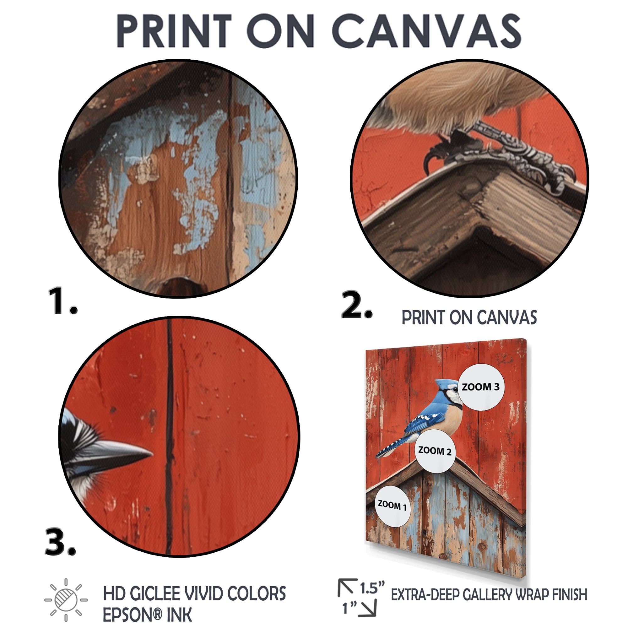 Blue Jay On The Barn Roof - Blue Bird Wall Art