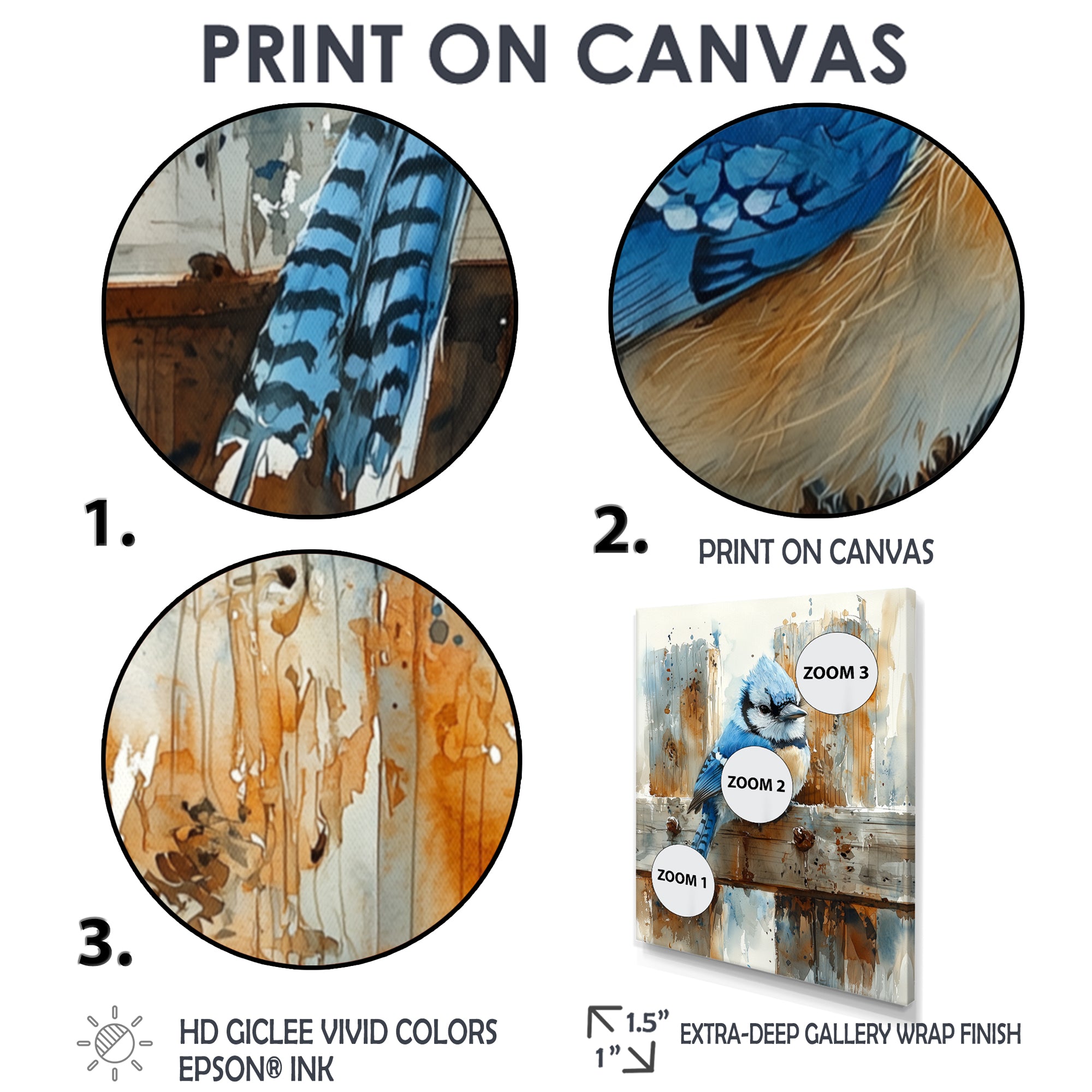 Blue Jay On The Farm Gate - Bird Framed Canvas Art