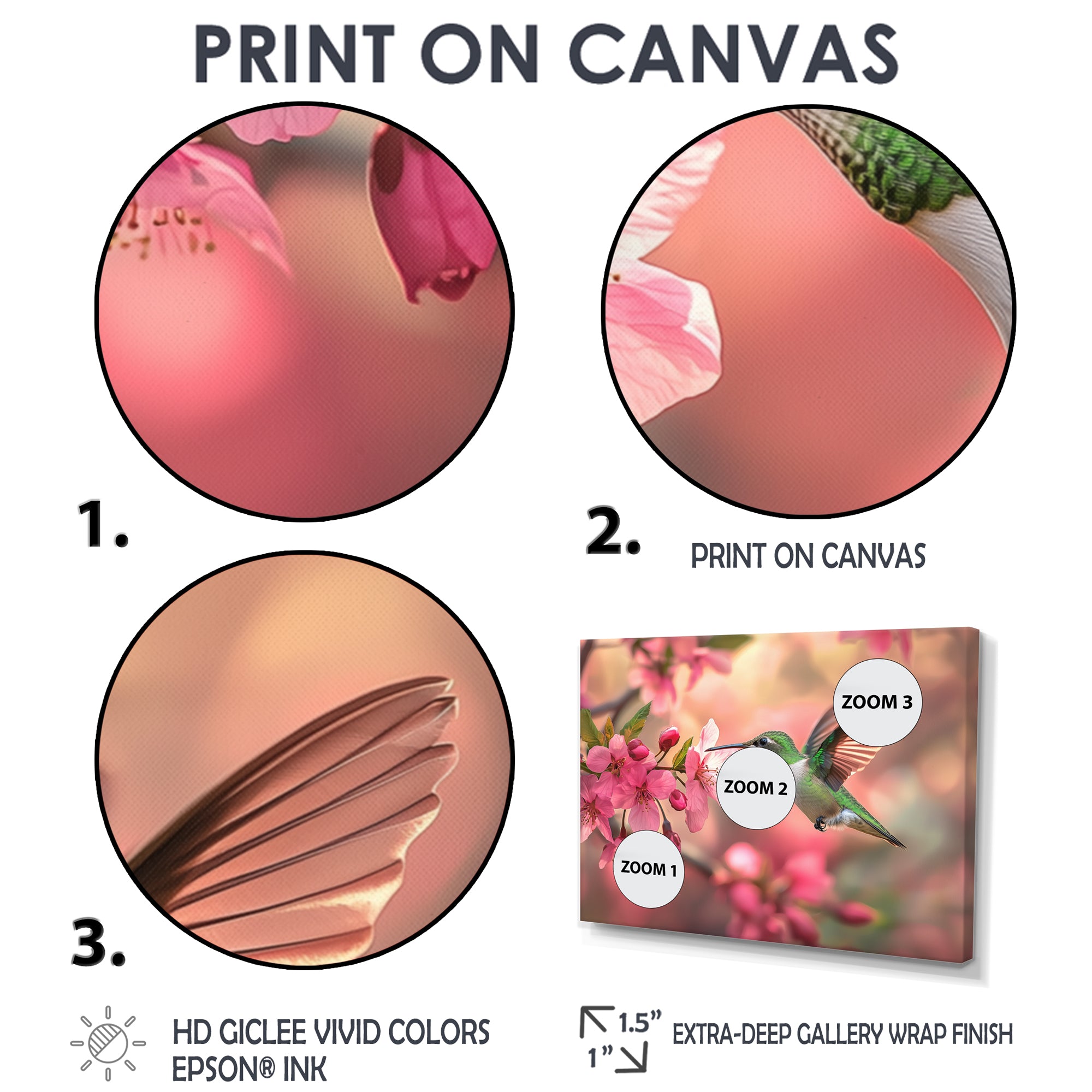 Hummingbird And Blossoms - Bird Canvas Wall Art