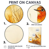 Robin Bird In The Meadow - Bird Bedroom Wall Art