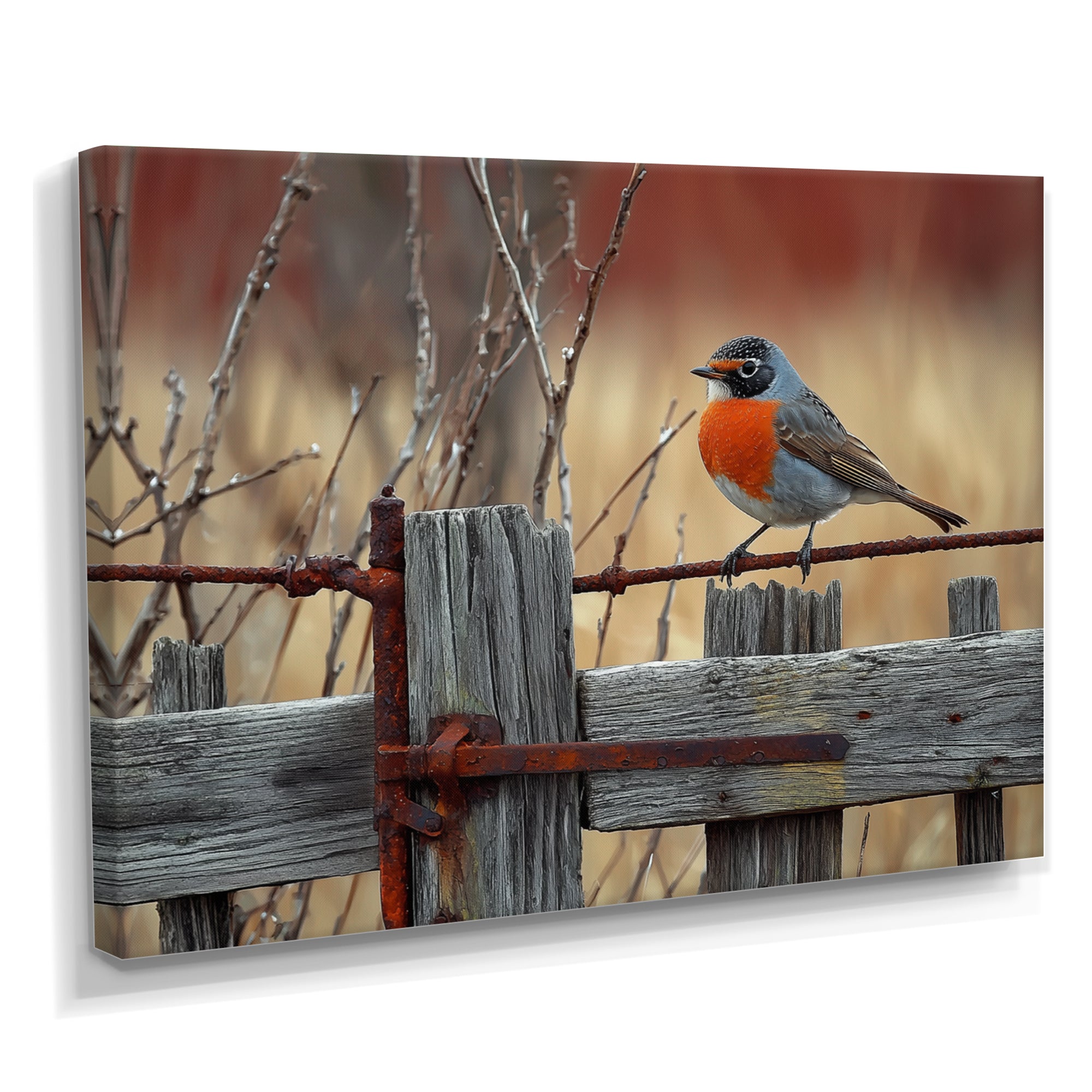 Robin Bird On The Farm Gate - Bird Framed Canvas Art