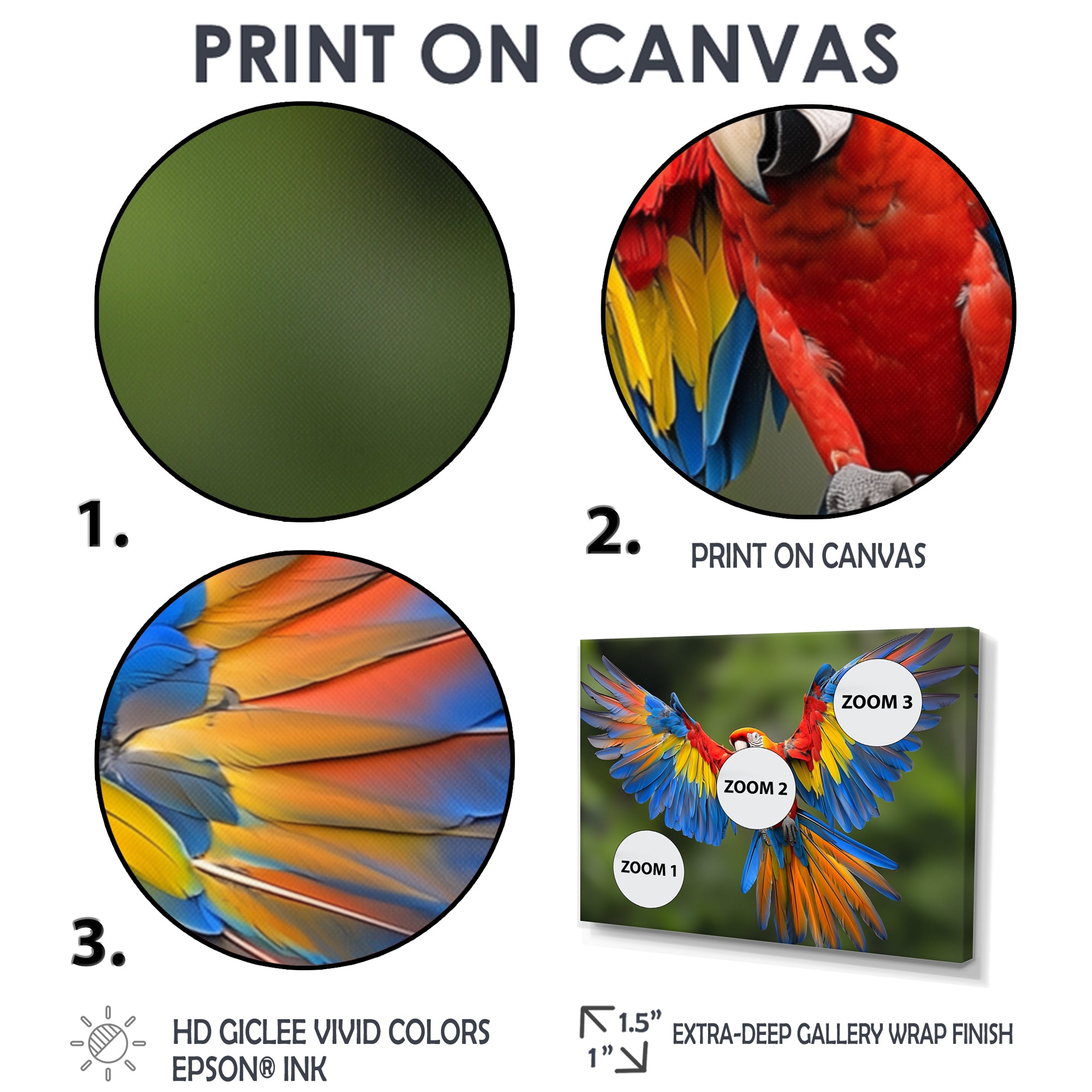 Vibrant Macaw Flying Photo - Bird Large Canvas Wall Art