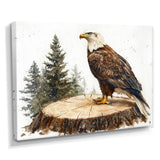 Eagle Silent Vigil In Summer - Eagle Canvas Wall Art