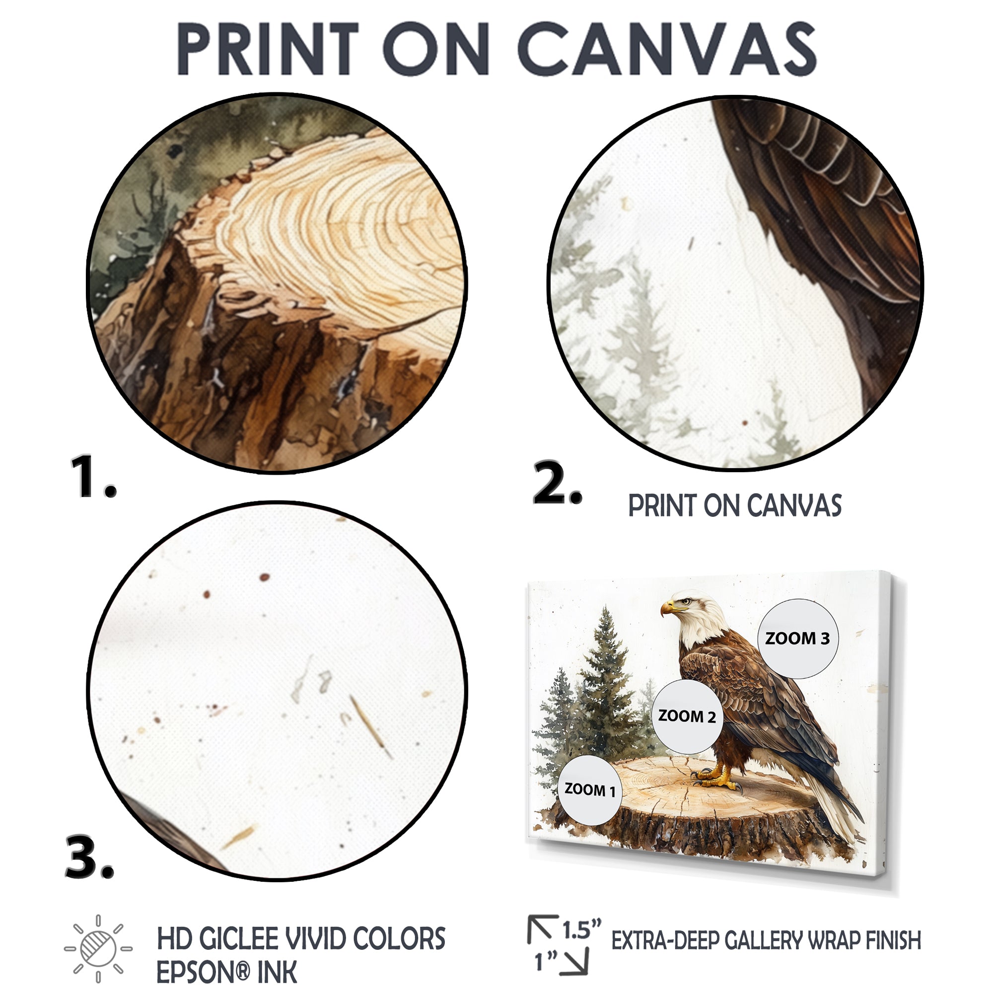 Eagle Silent Vigil In Summer - Eagle Canvas Wall Art