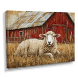Sheep By The Old Red Farm - Sheep Wall Art Prints