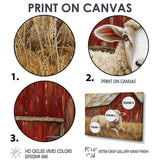 Sheep By The Old Red Farm - Sheep Wall Art Prints