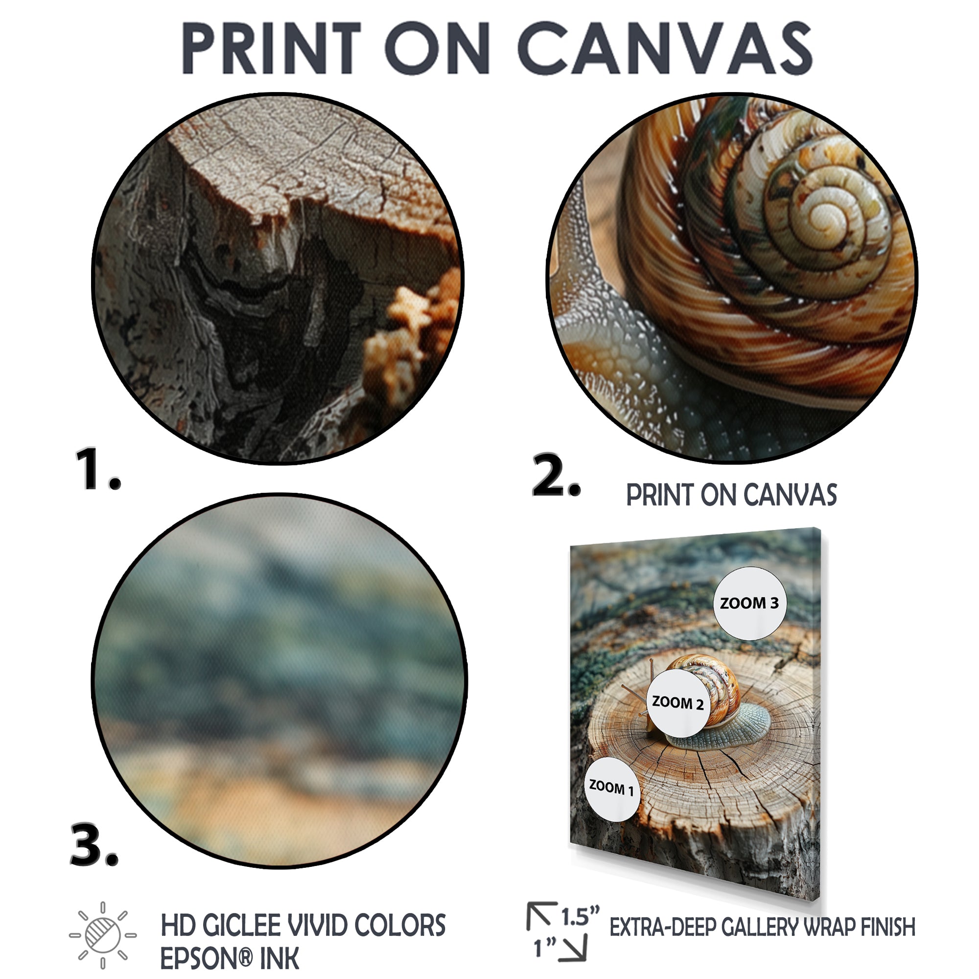 Snail At The Mountain On Slide - Brown Snail Wall Art