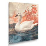 Swan Reflections Of Elegance - Swans Wall Art Prints