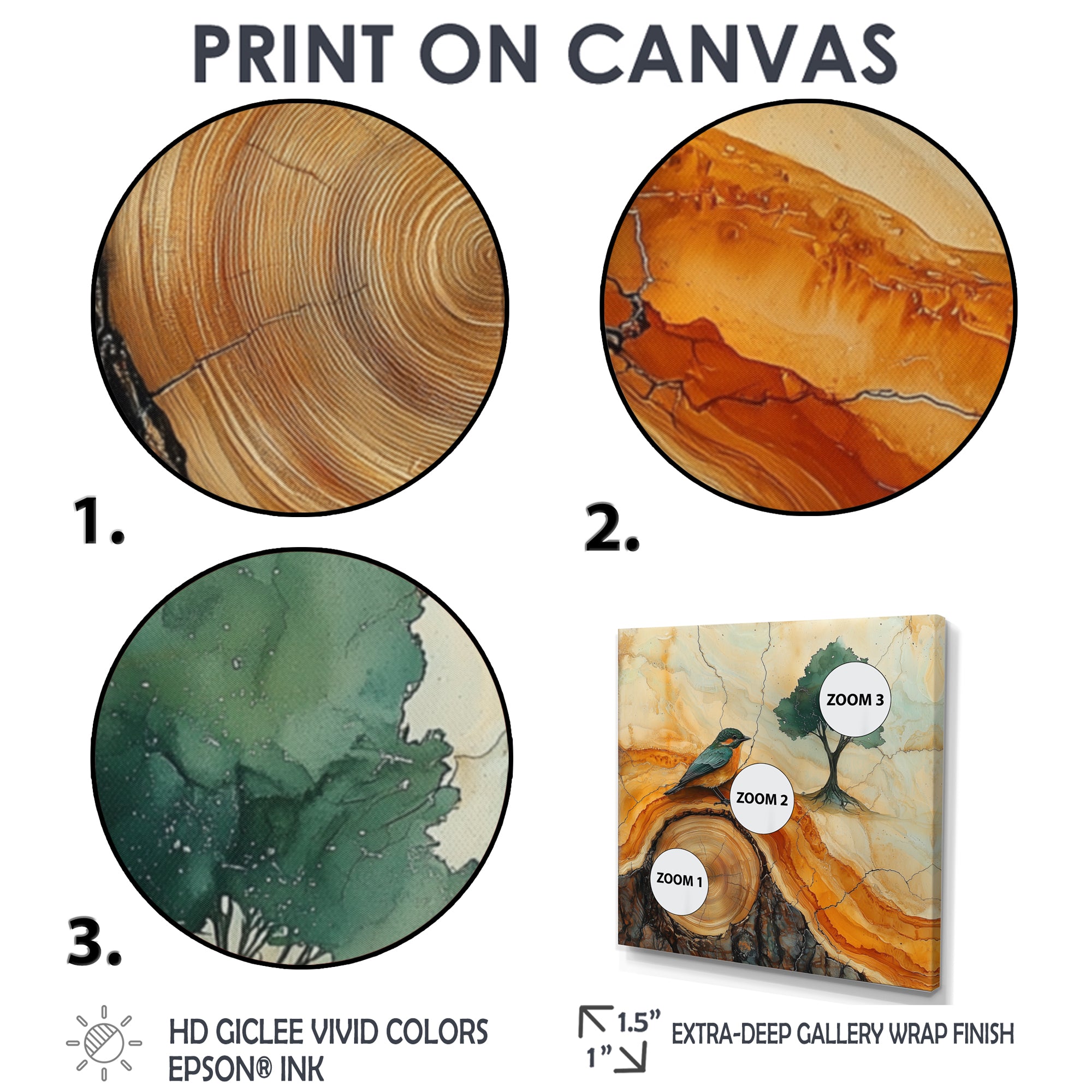 Pink Crystals Color World Map Wood Slide - Woodpecker Bird Wall Art Prints