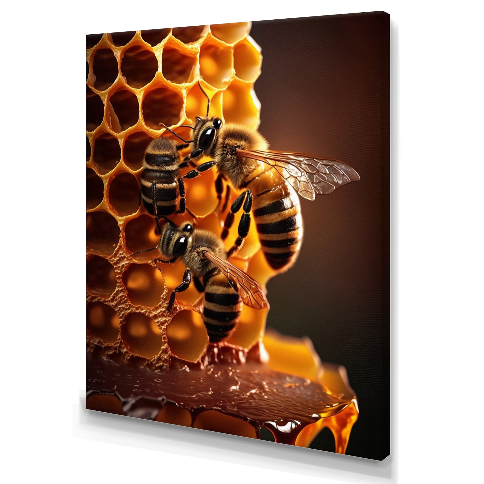 Honey Bees In Nest - Bee Canvas Wall Art