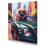 Brown Bird Wearing Sunglasses In Sportscar - Bird Fashion Wall Art Prints