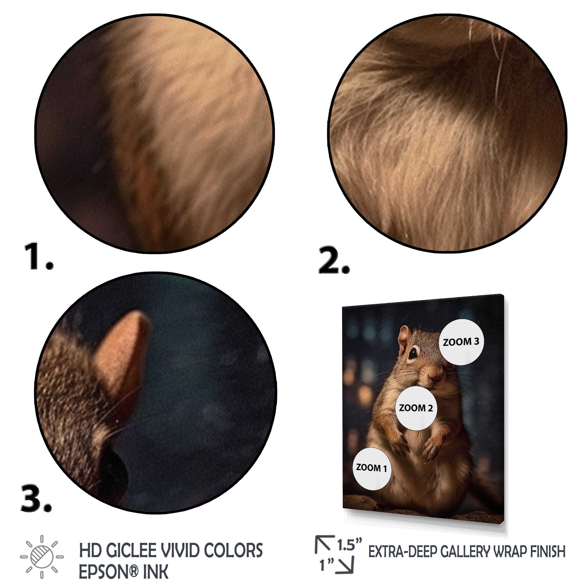 Brown Squirrel - Squirrel Home Decor Art