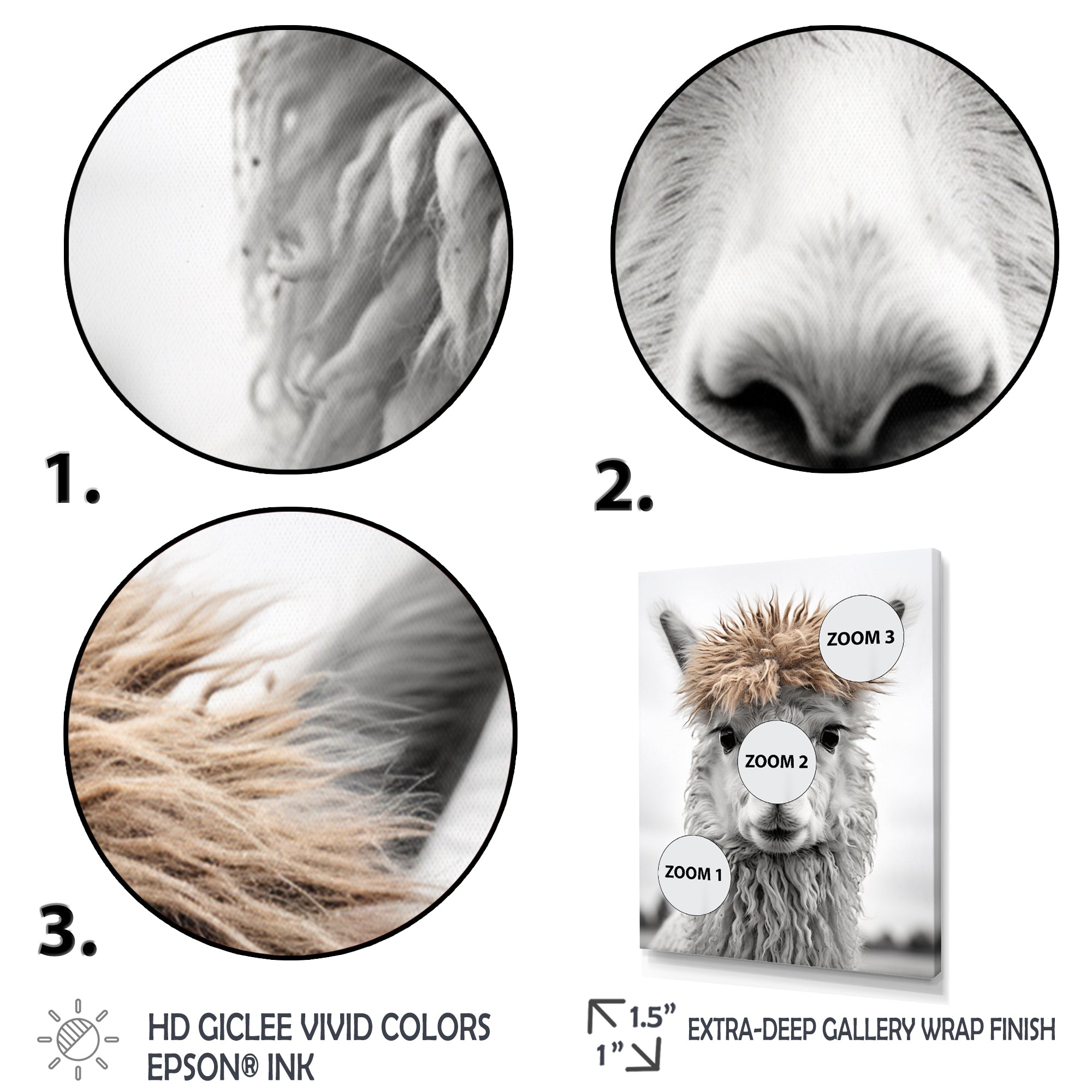 Curious Alpaca - Beige Alpaca Wall Art