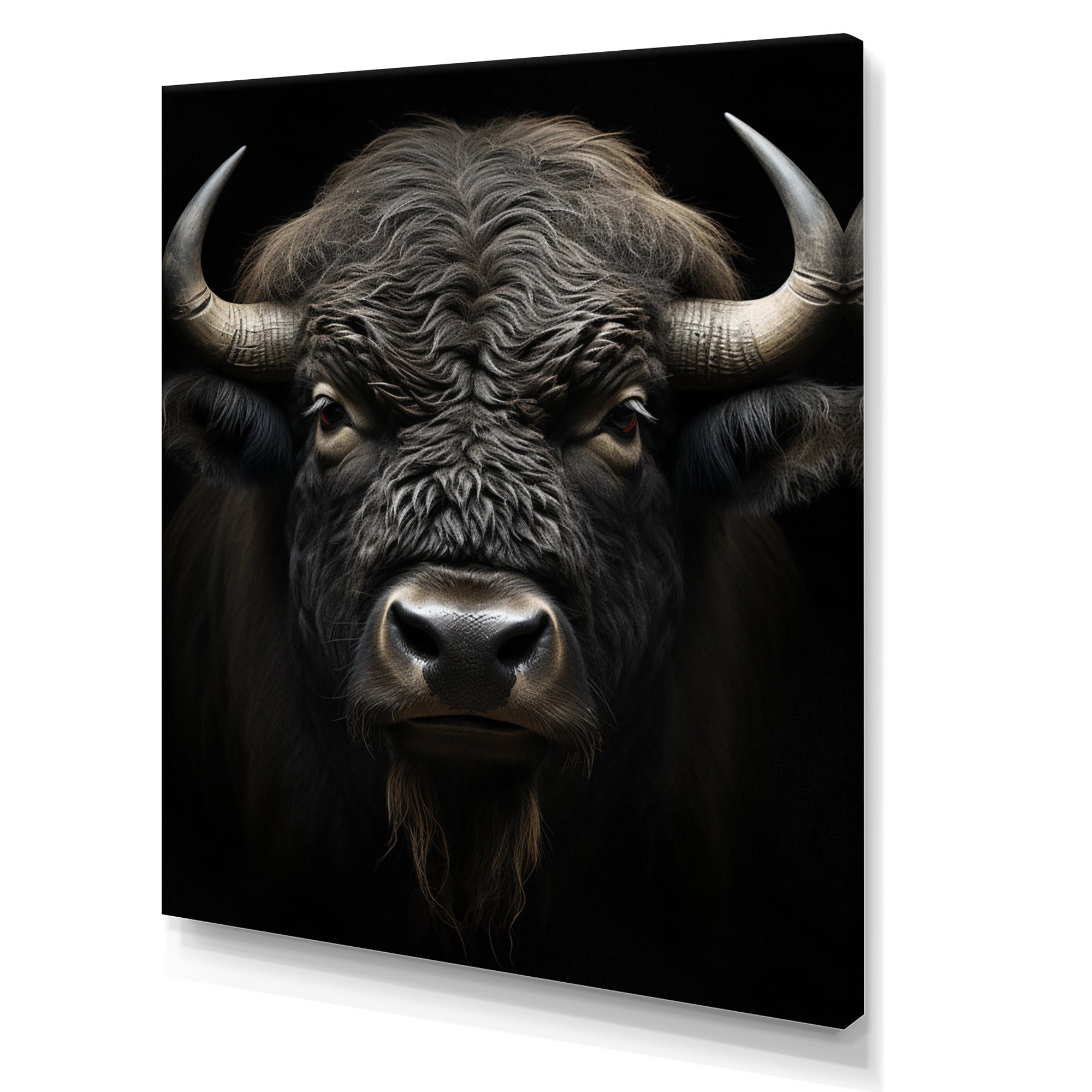 Black White Animal Buffalo Bison - Buffalo Wall Art Prints