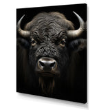 Black White Animal Buffalo Bison - Buffalo Wall Art Prints