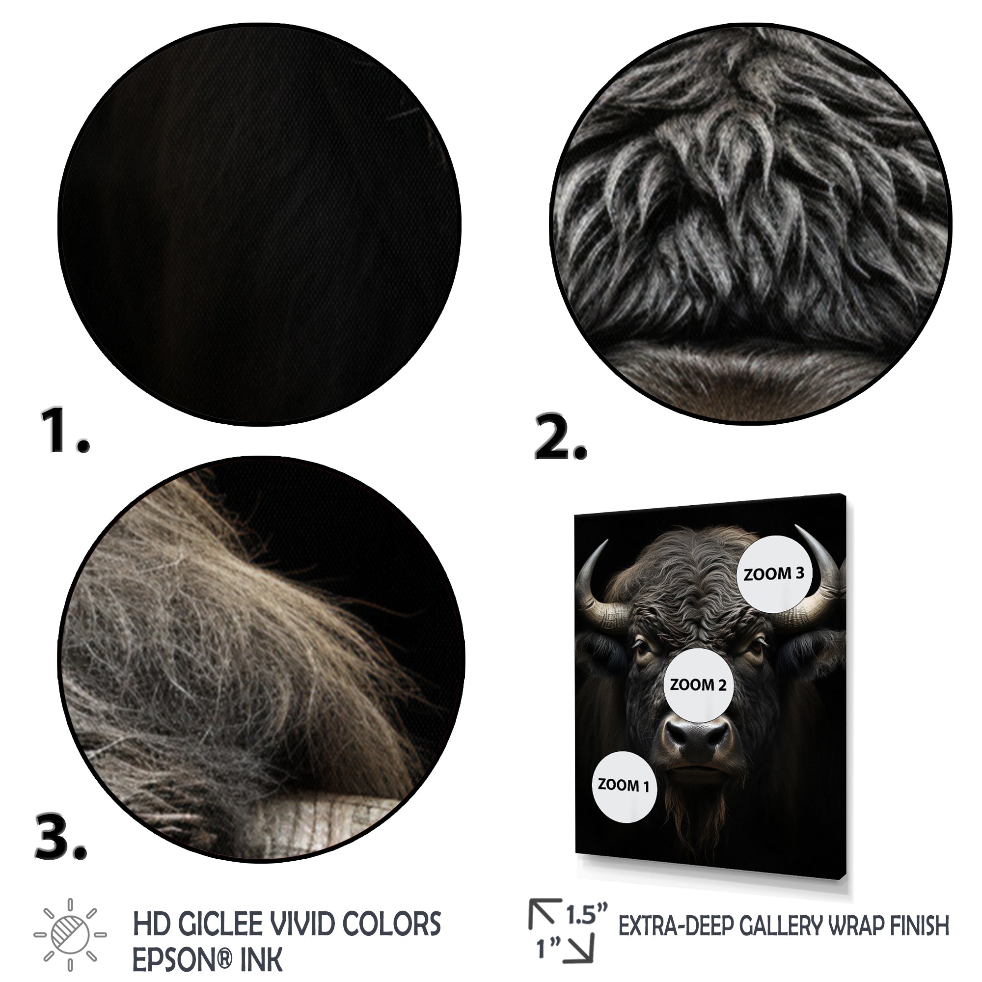 Black White Animal Buffalo Bison - Buffalo Wall Art Prints