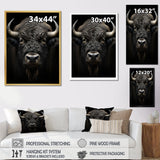 Black White Animal Buffalo Bison - Buffalo Wall Art Prints