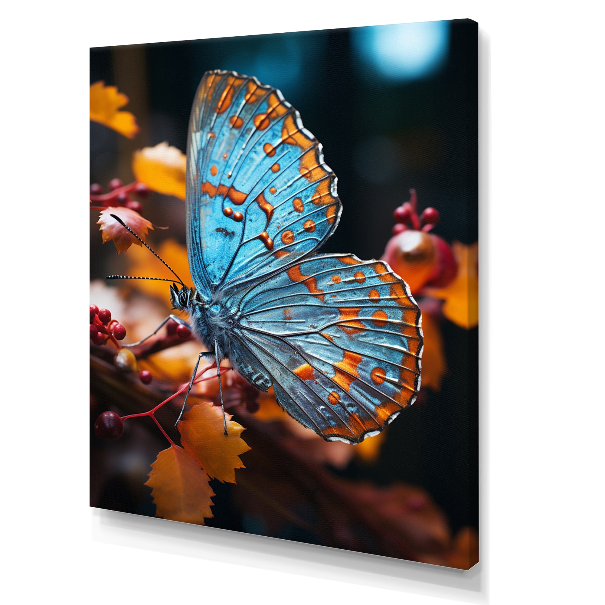 Turquoise Yellow Animal Butterfly - Butterfly Wall Art Prints
