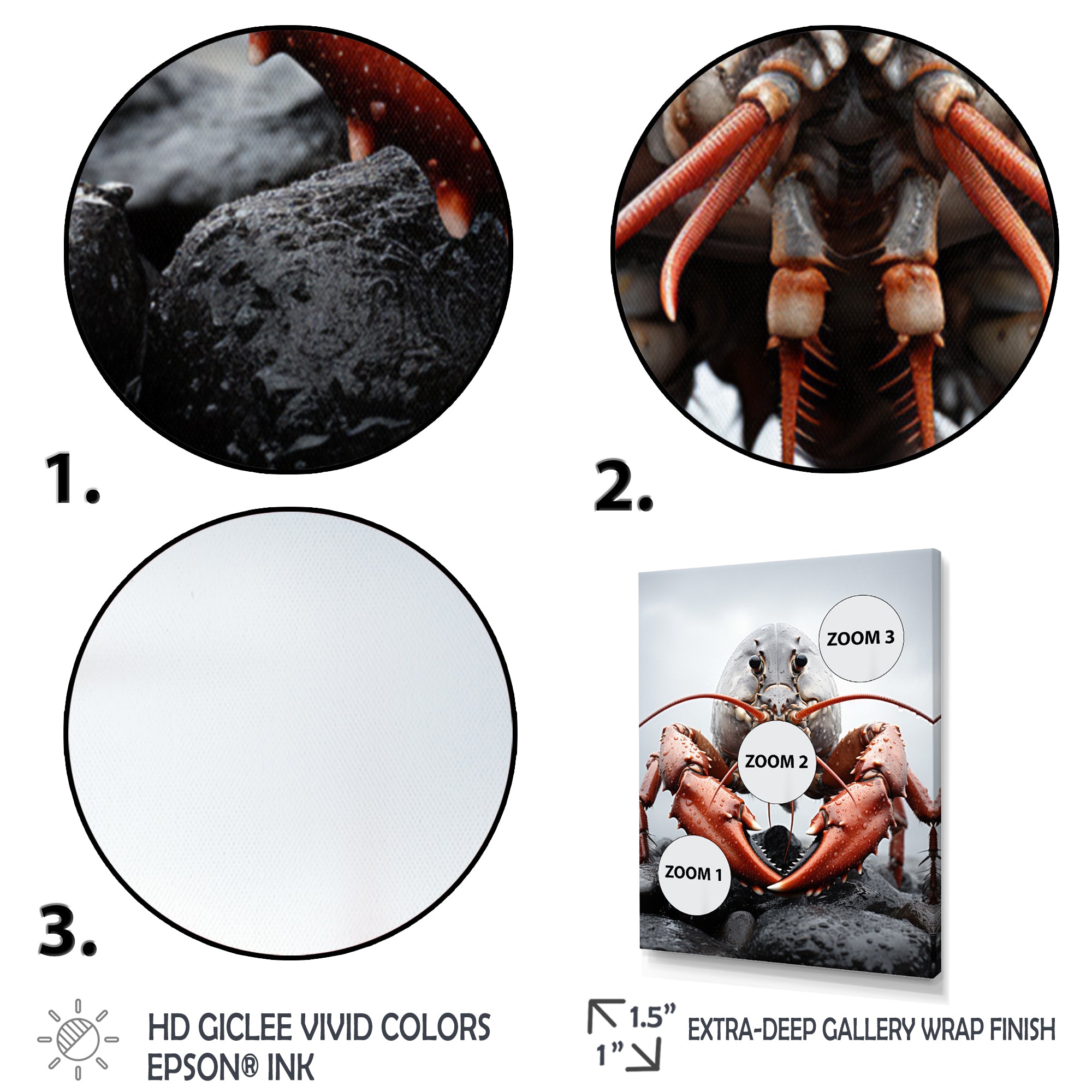 Coral Grey Animal Lobster - Lobster Wall Decor