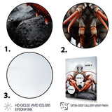 Coral Grey Animal Lobster - Lobster Wall Decor