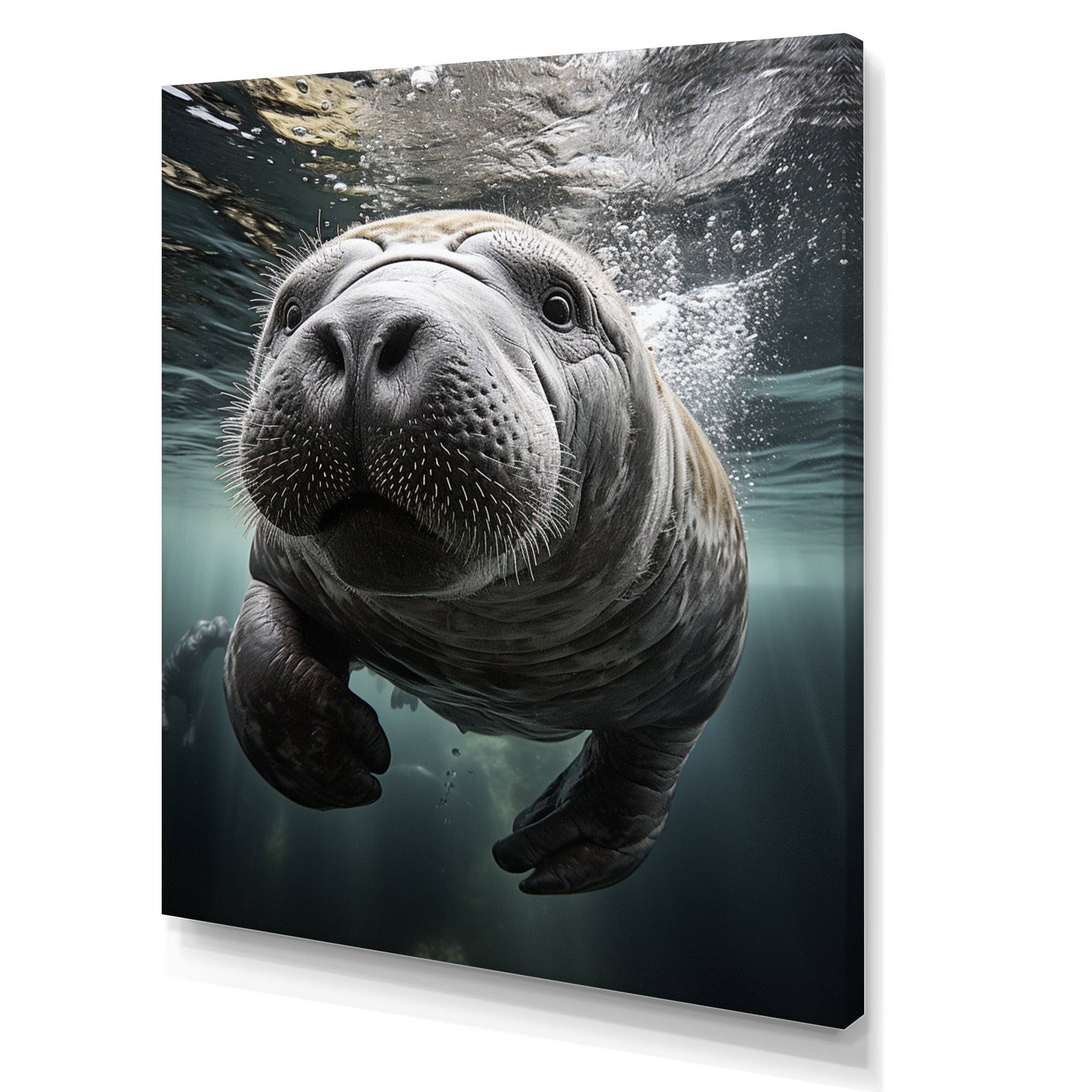 Grey Teal Animal Manatee - Manatee Wall Art Prints