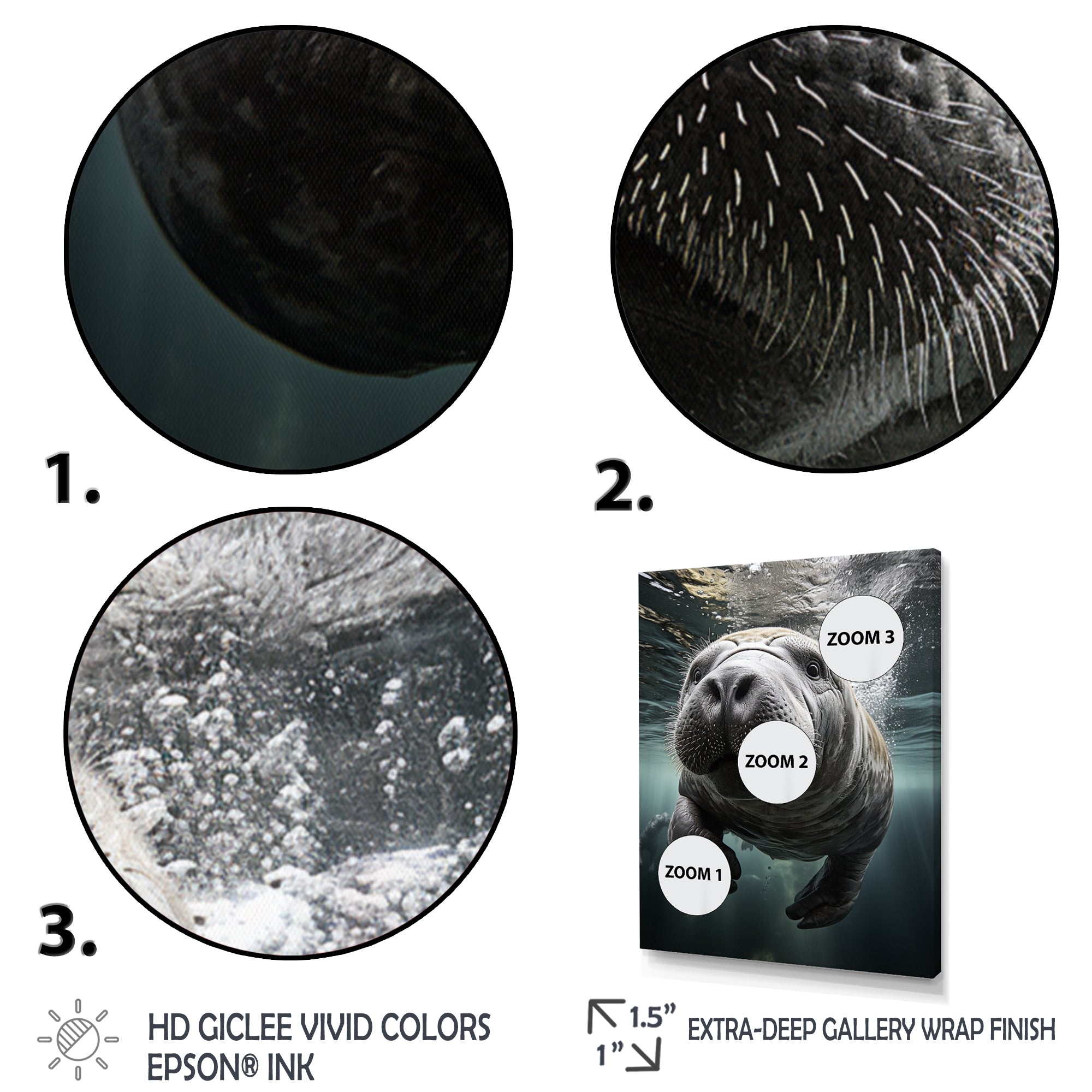 Grey Teal Animal Manatee - Manatee Wall Art Prints