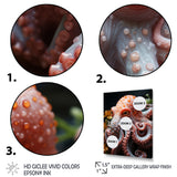 Coral Octopus Lunar Reflections - Octopus Living Room Wall Art