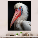 Coral White Animal Pelican Portrait - Pelican Wall Art Prints