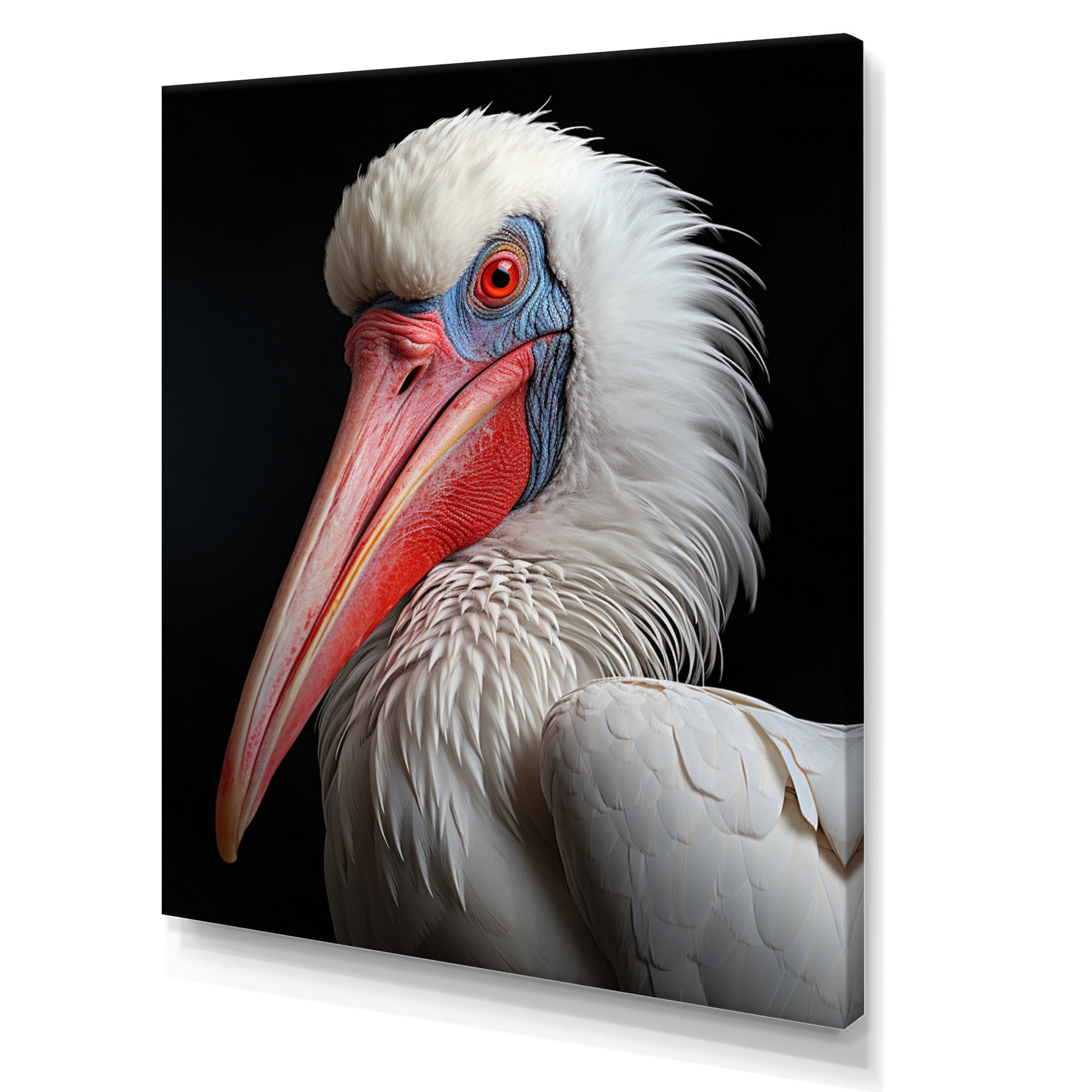 Coral White Animal Pelican Portrait - Pelican Wall Art Prints