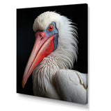 Coral White Animal Pelican Portrait - Pelican Wall Art Prints