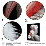Coral White Animal Pelican Portrait - Pelican Wall Art Prints