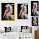 Coral White Animal Pelican Portrait - Pelican Wall Art Prints