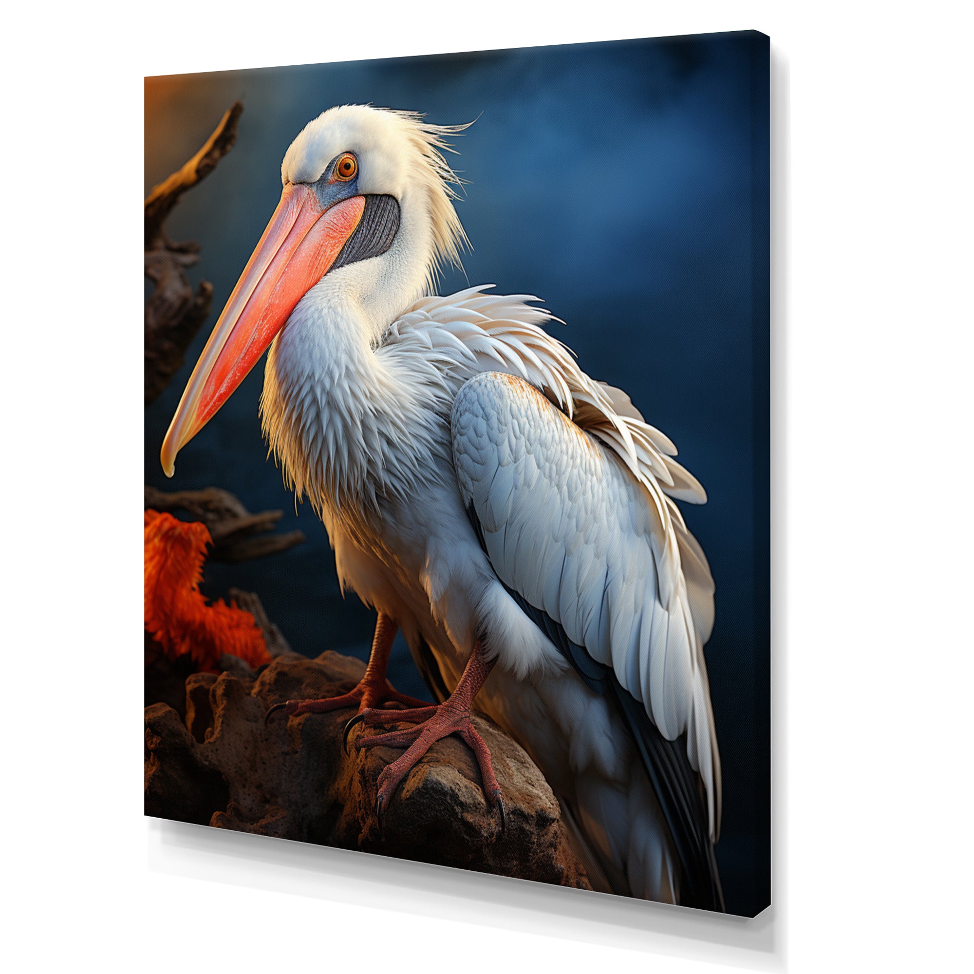 Coral White Animal Pelican - Pelican Wall Art Prints