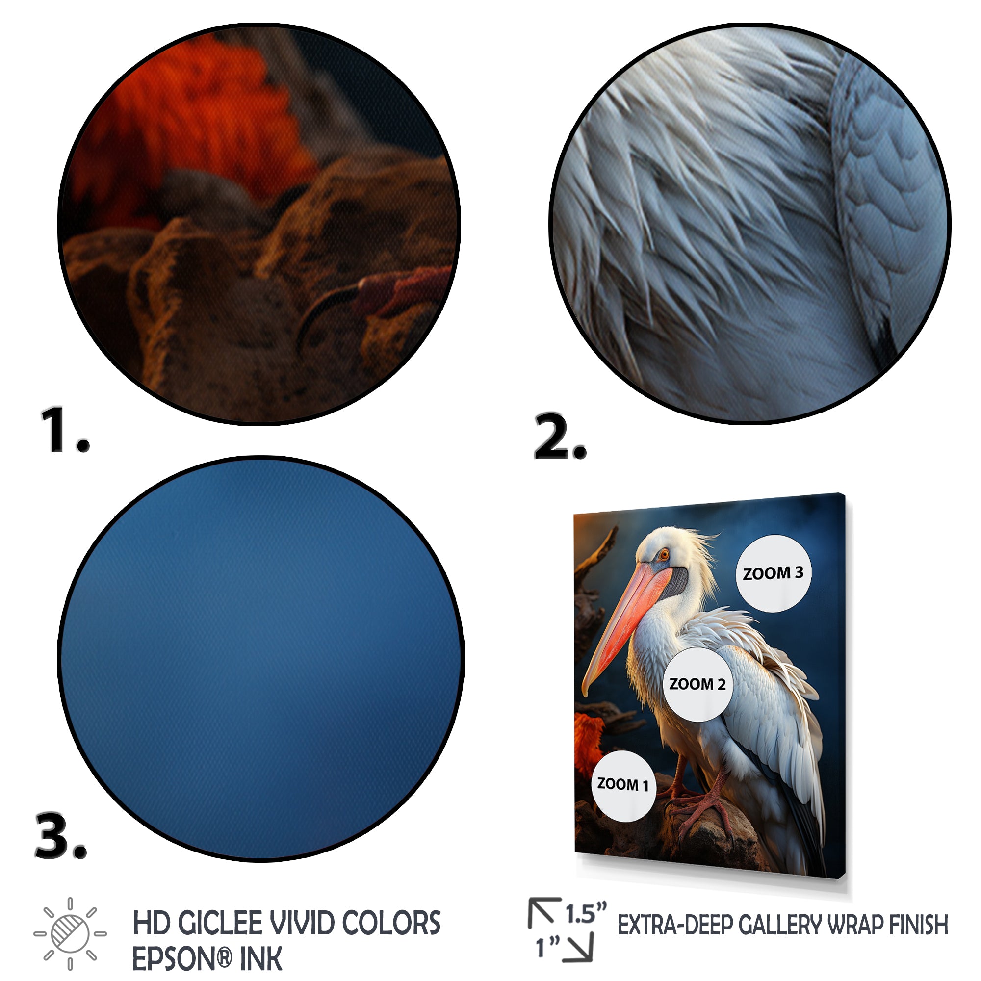 Coral White Animal Pelican - Pelican Wall Art Prints