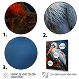 Coral White Animal Pelican - Pelican Wall Art Prints