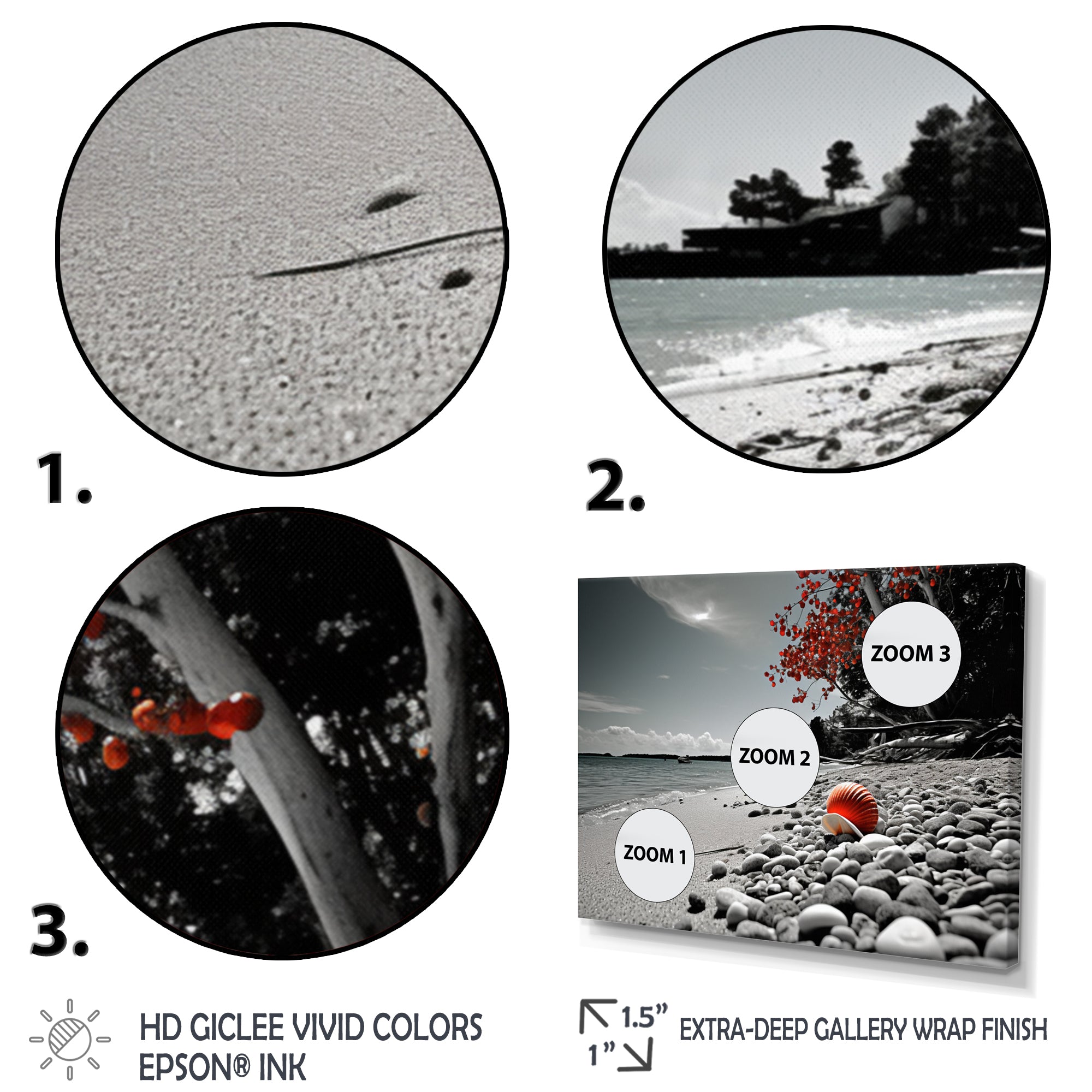 Grey Red Beach Seashell Symphony - Seashell Canvas Wall Art