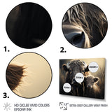 Brown Buffalo Gentle Guardians - Buffalo Wall Decor