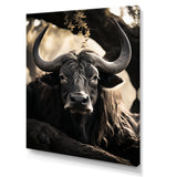 Grey Buffalo Serenity In Shadows - Gray Buffalo Wall Art