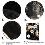 Grey Buffalo Serenity In Shadows - Gray Buffalo Wall Art