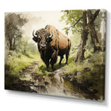 Brown Green Buffalo Shadows Of Serenity - Buffalo Large Canvas Wall Art