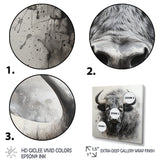 Grey Buffalo Whispers Of Wisdom - Buffalo Wall Decor