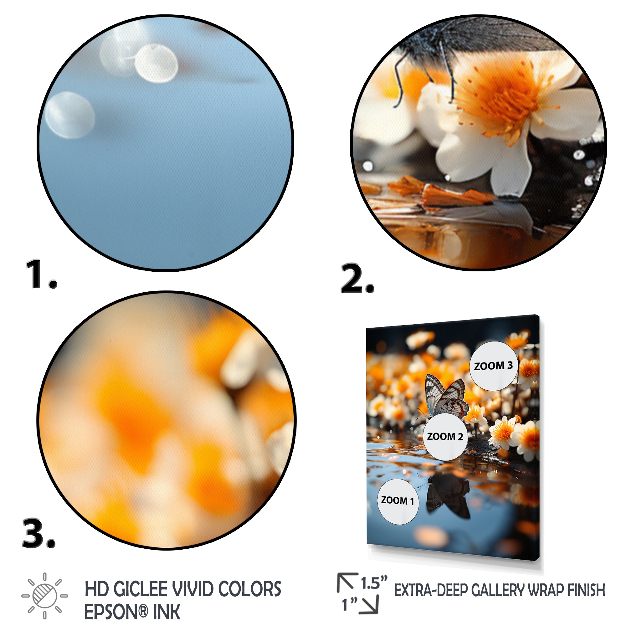 Orange Butterfly Floating Wonder - Butterfly Wall Art Prints