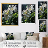 White Green Butterfly Portrait Vibrant - Butterfly Canvas Wall Art