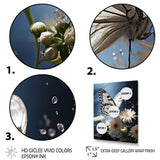 White Butterfly Portrait Vibrant - Butterfly Canvas Wall Art