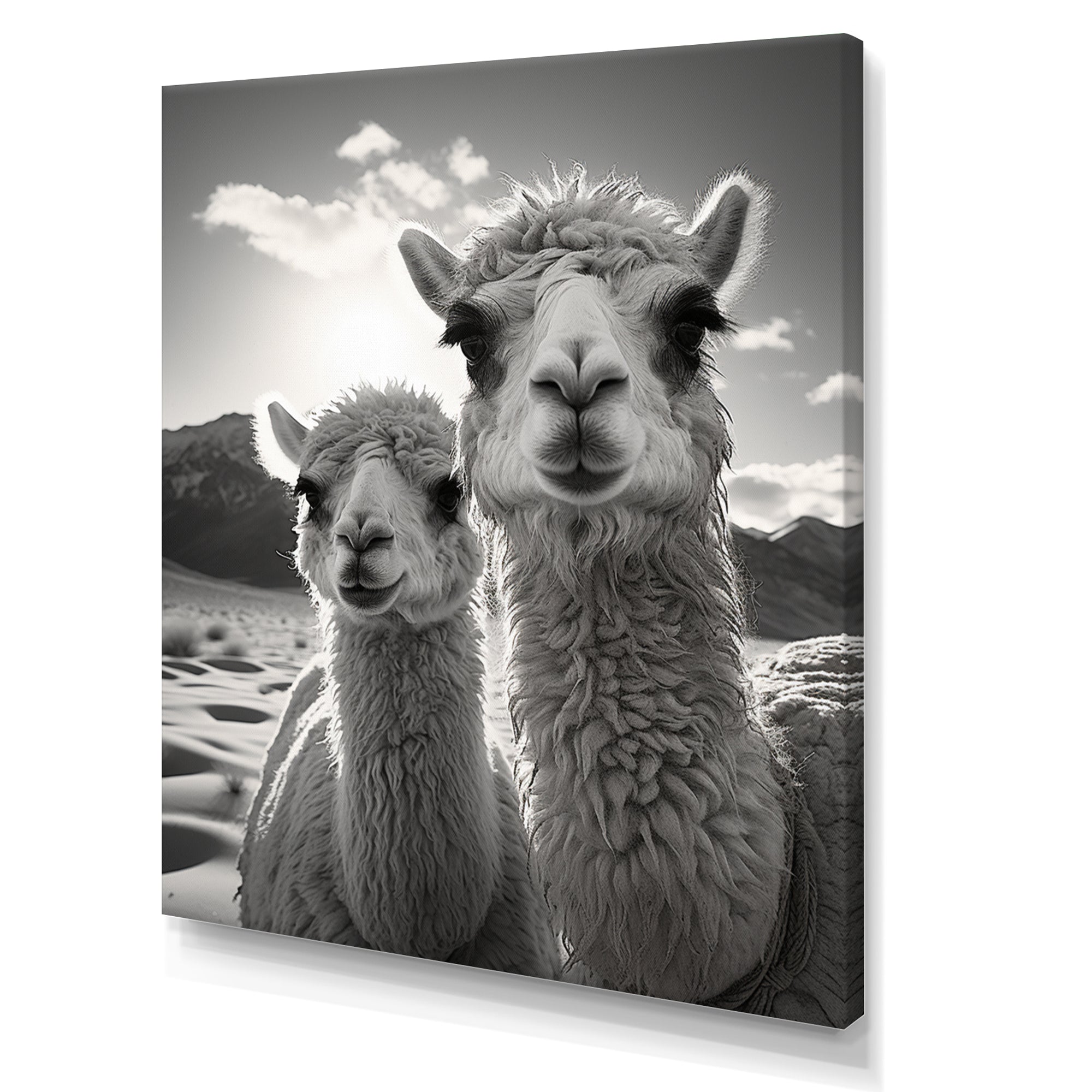 Camel Harmony In Monochrome - Camel Large Canvas Wall Art