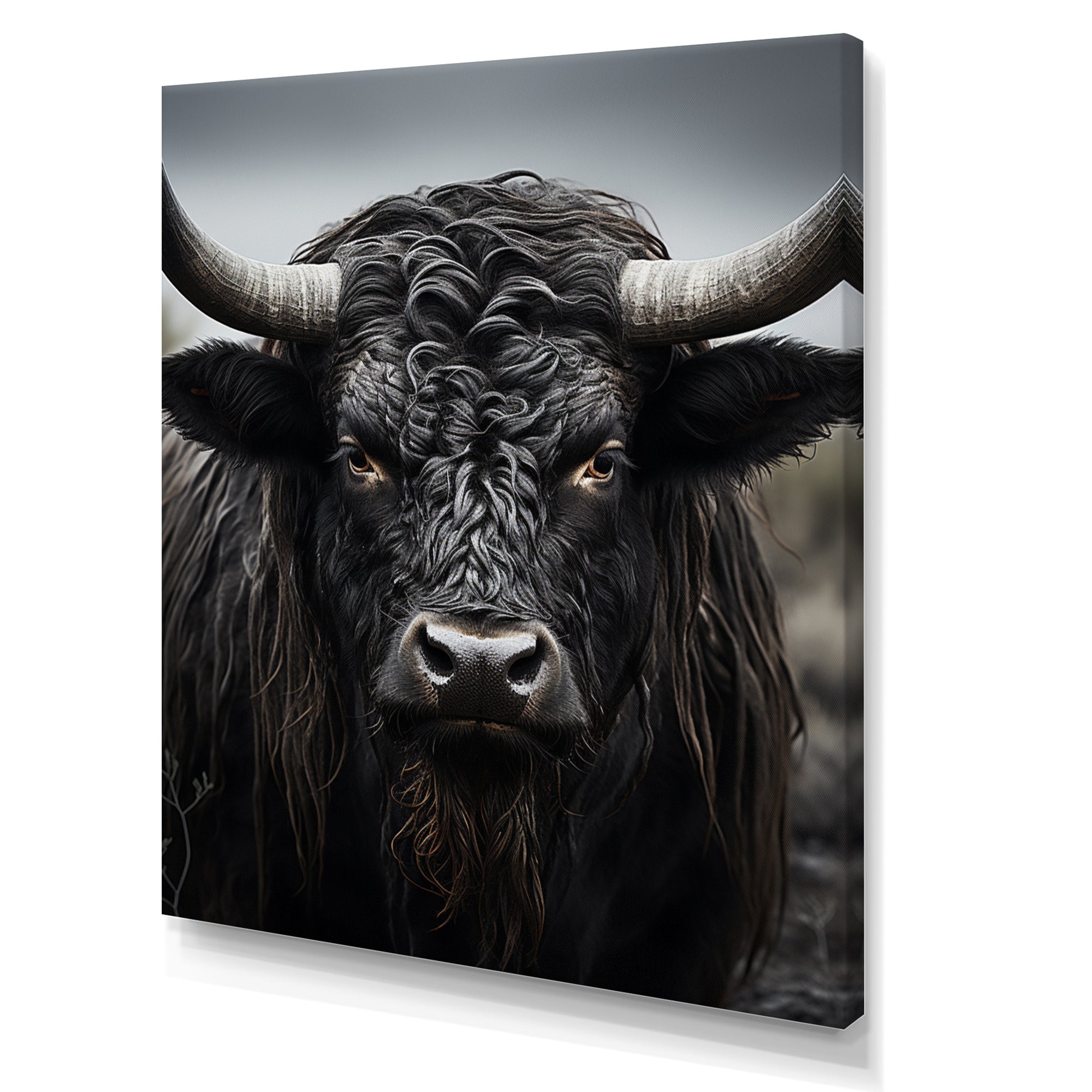 Cattle Majestic Horns - Cattle Framed Canvas Art