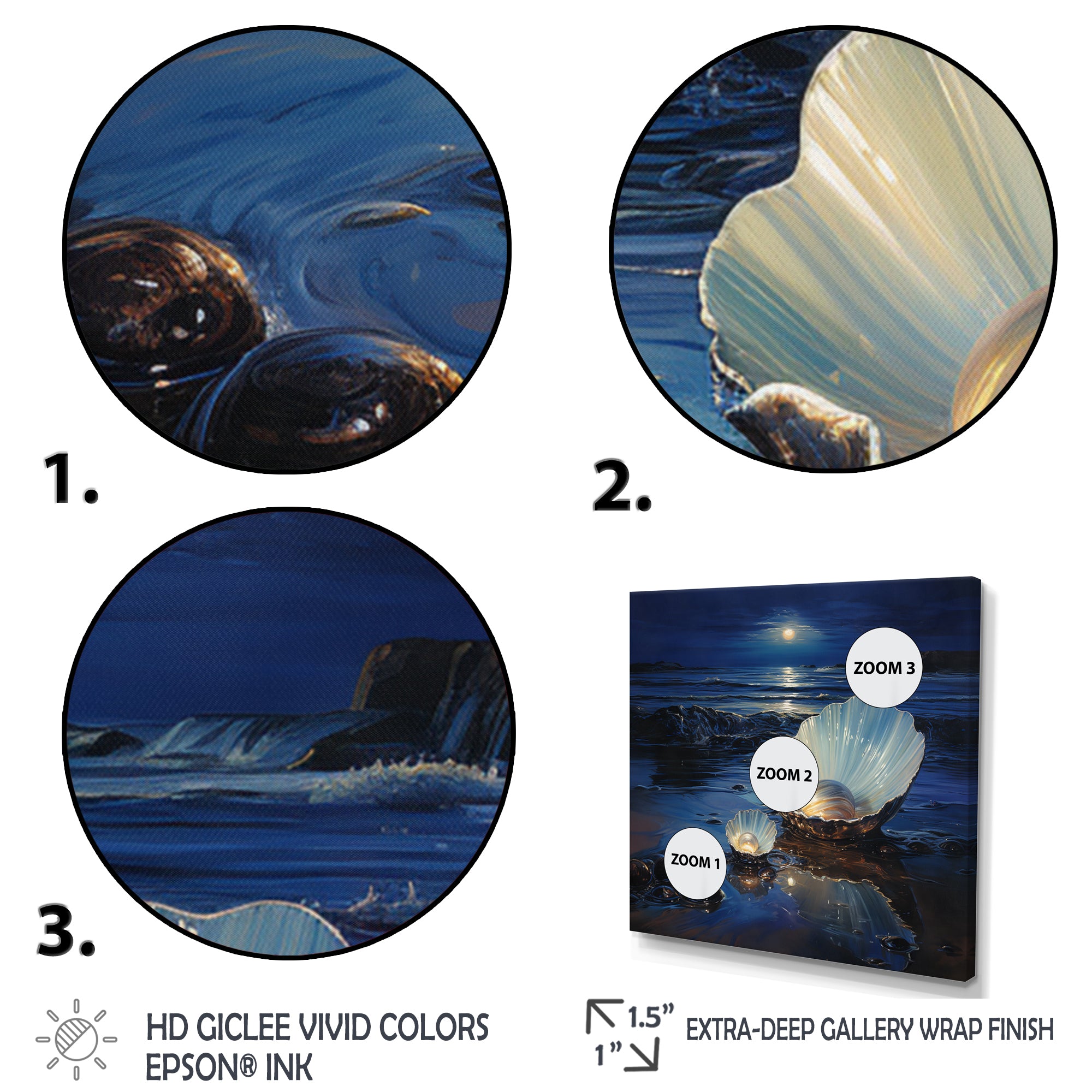 White Clam Midnight Elegance - Clam Canvas Wall Art