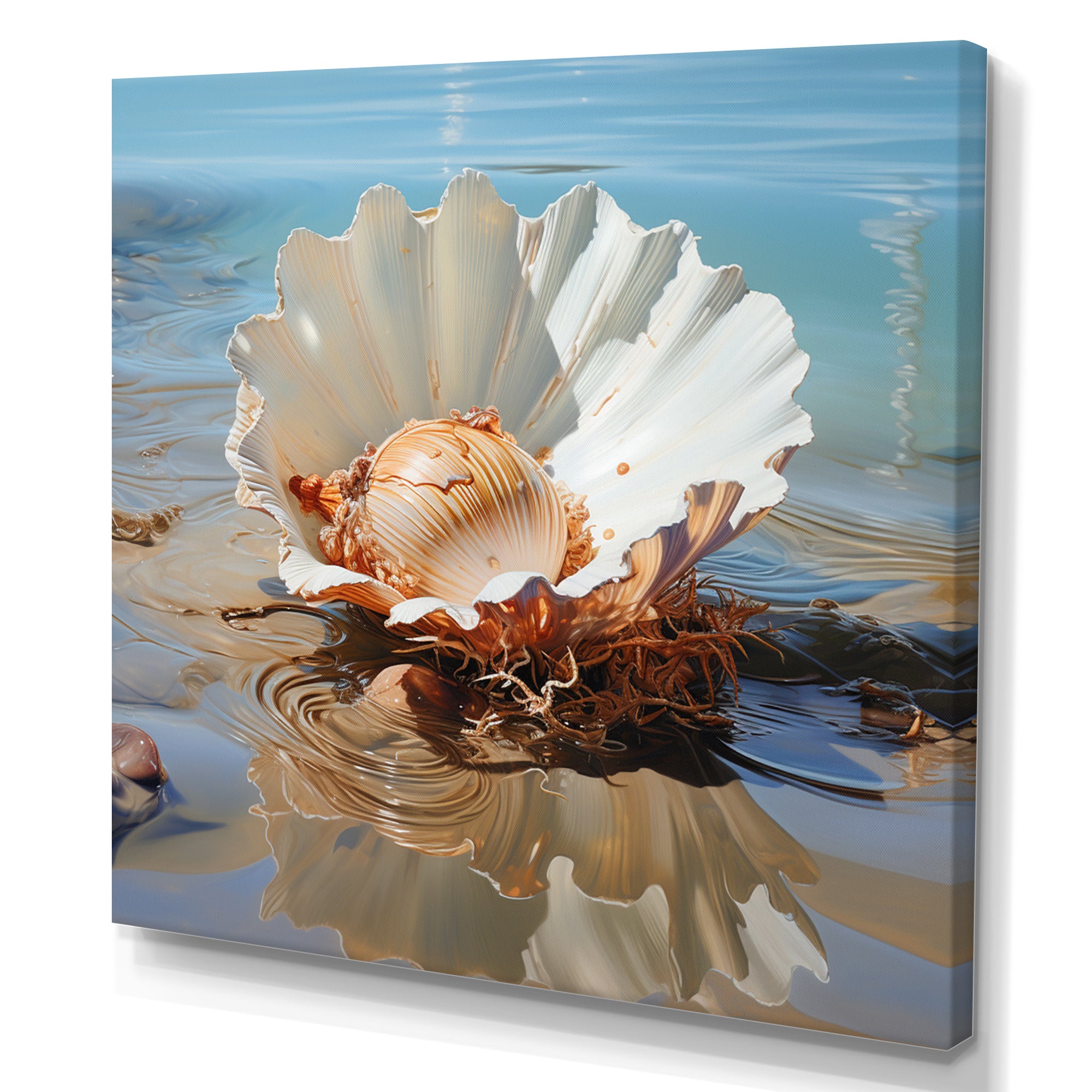 White Clam Ocean Whispers - Clam Wall Art Prints