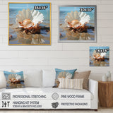 White Clam Ocean Whispers - Clam Wall Art Prints