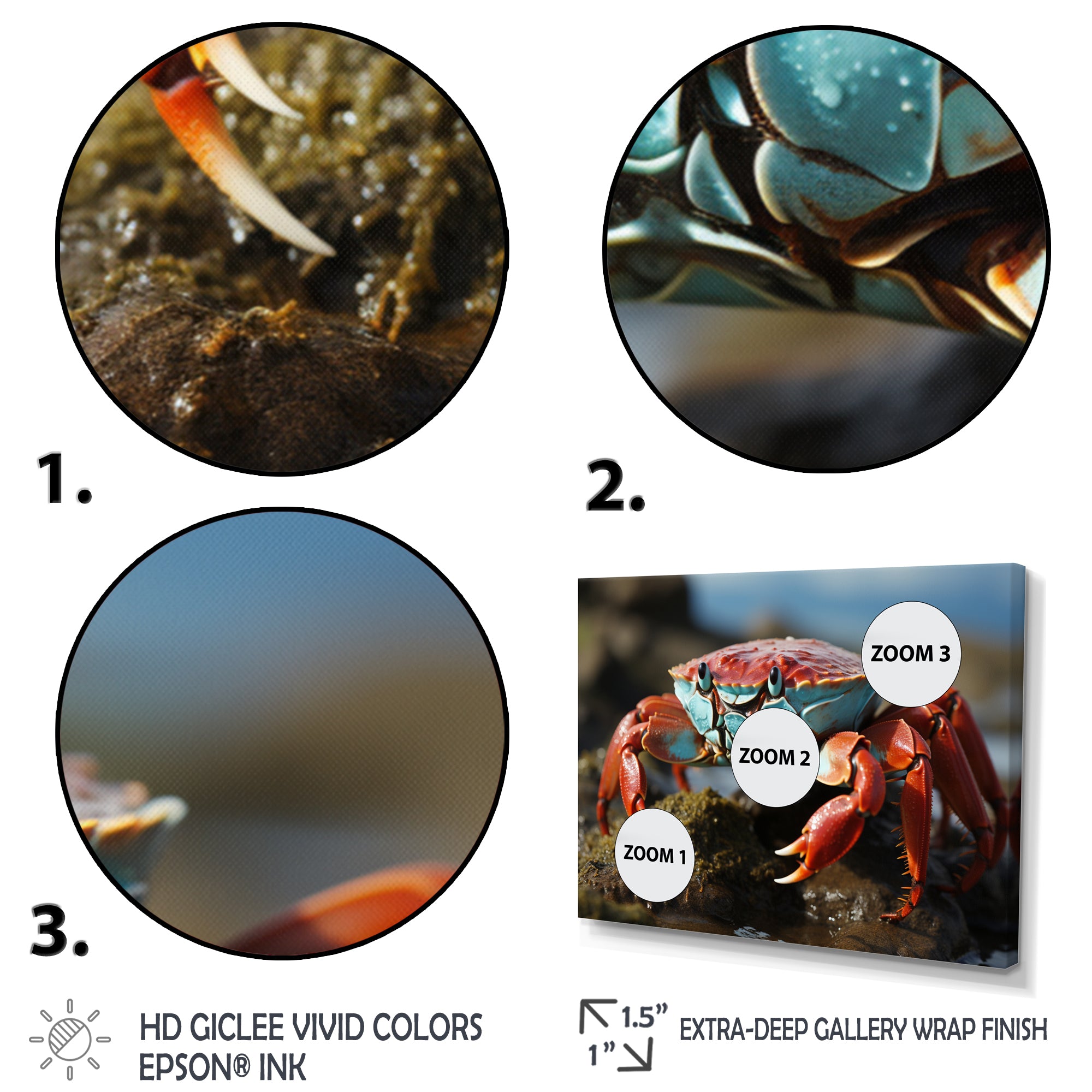 Crab Coastal Scavenger - Crab Home Decor Art